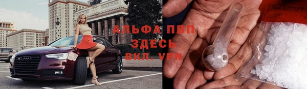 прущая мука Арсеньев