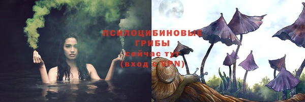 кокс Алексин